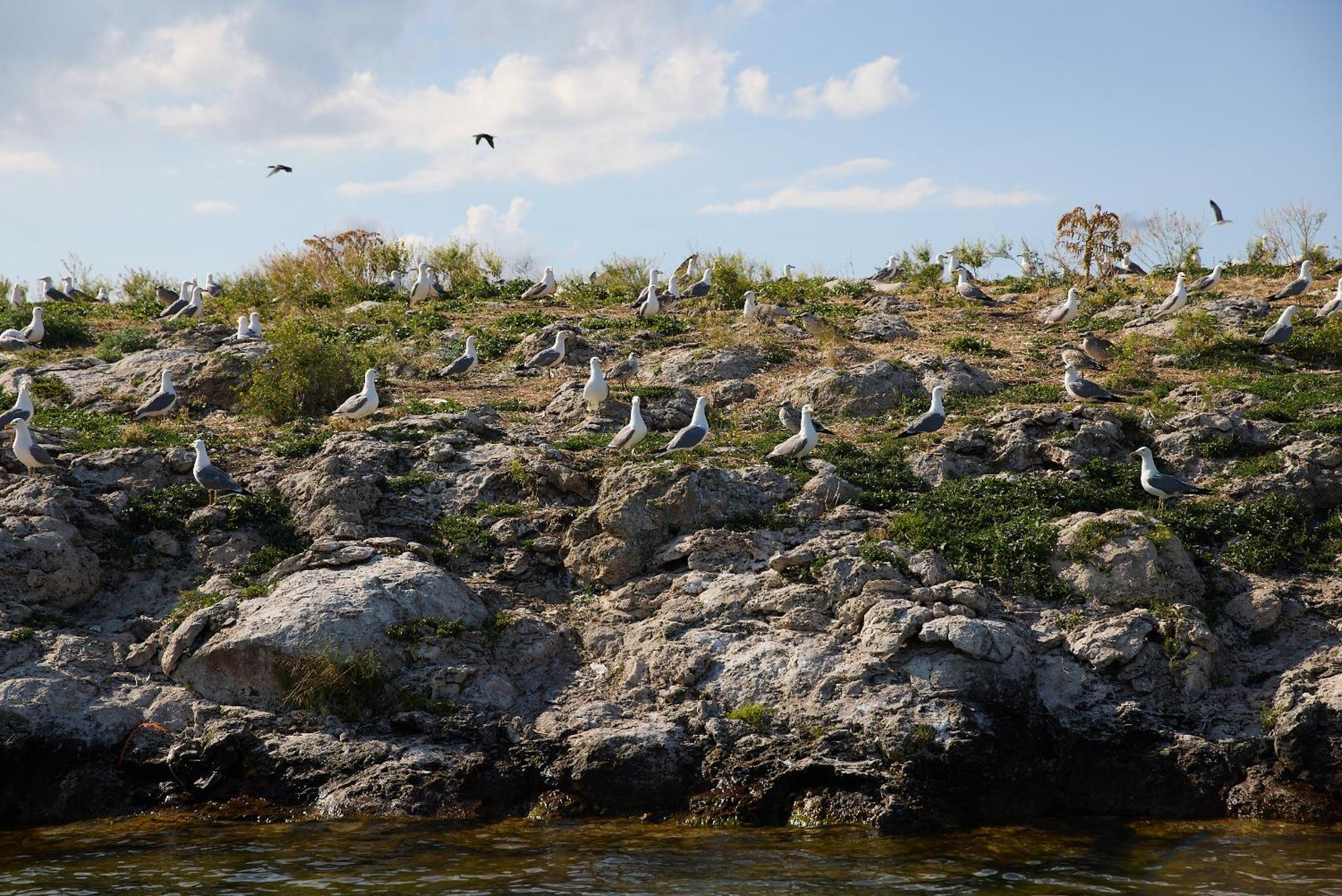 Noy Land Resort Sevan Exterior foto