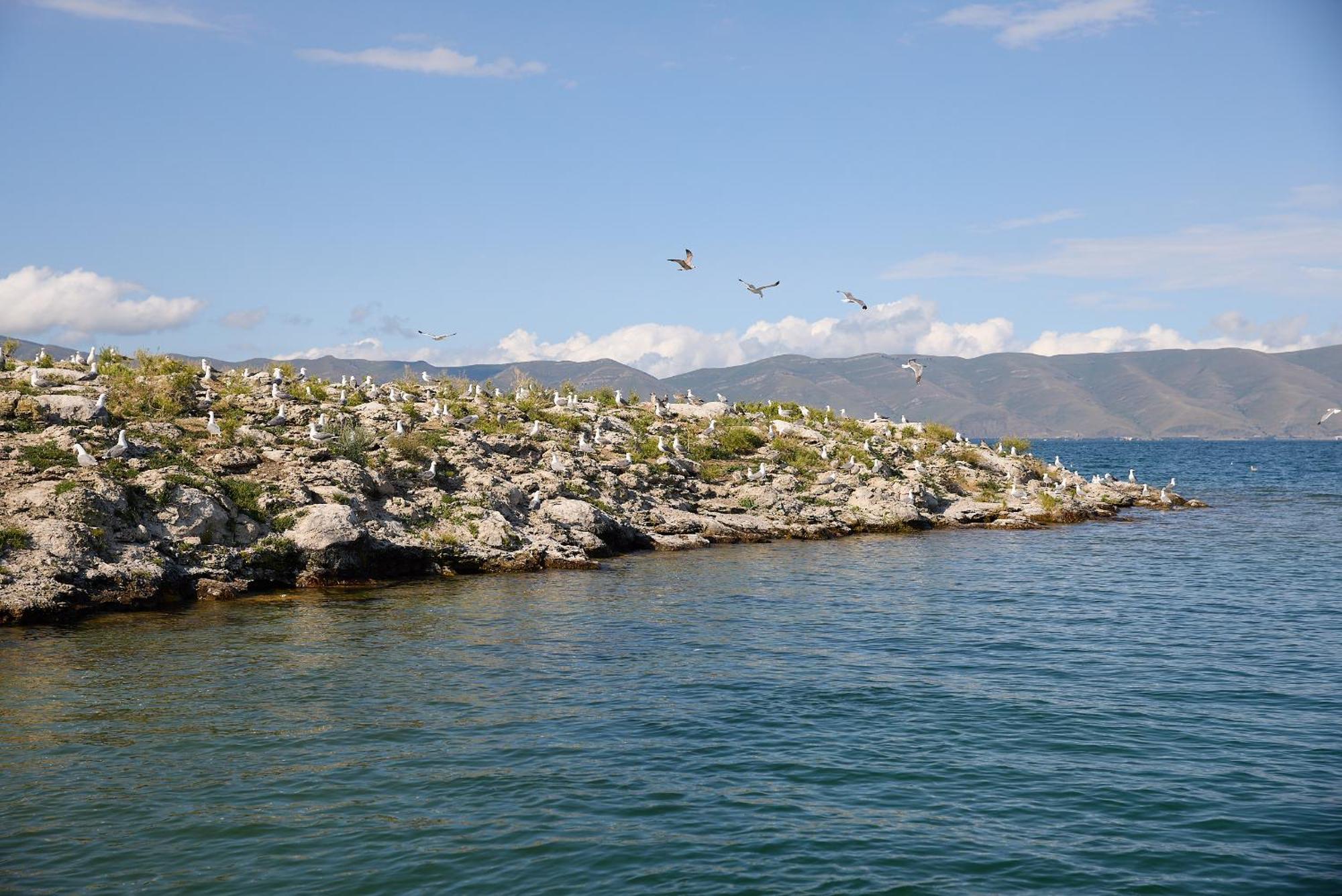 Noy Land Resort Sevan Exterior foto